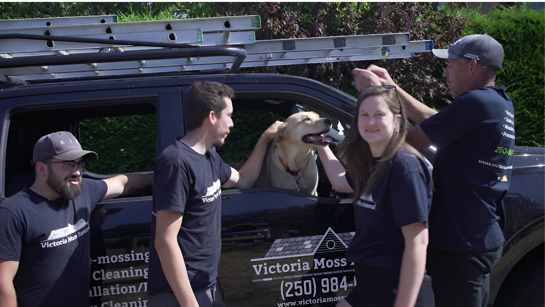 This is a photo of our core team with our yellow lab, his name is Toby