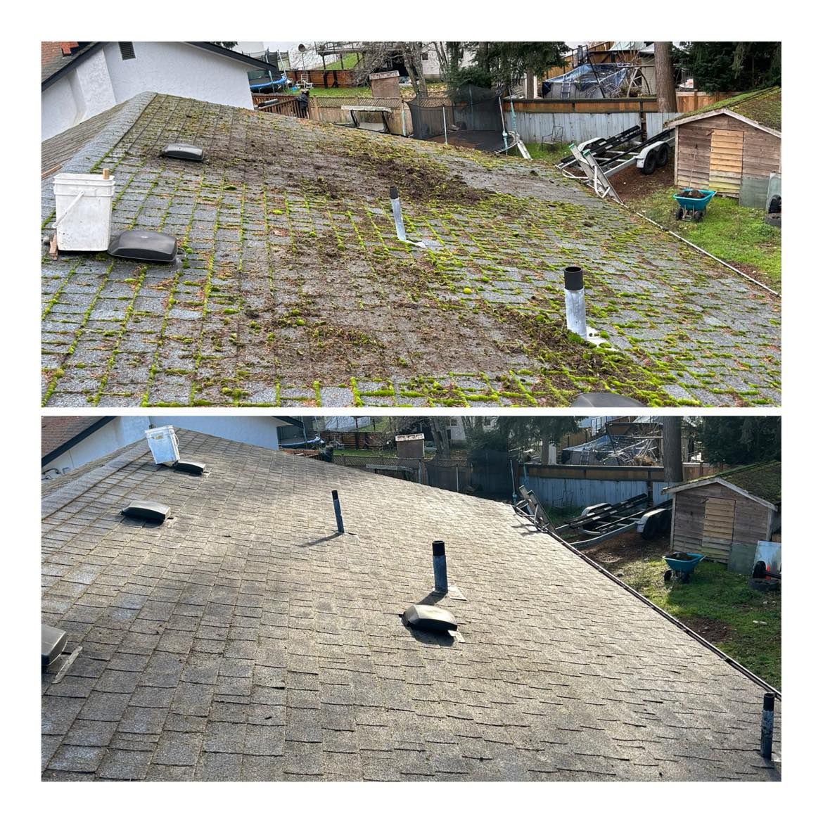 A nice before and after photo of a recently cleaned roof that had a ton of moss and debris growing on it