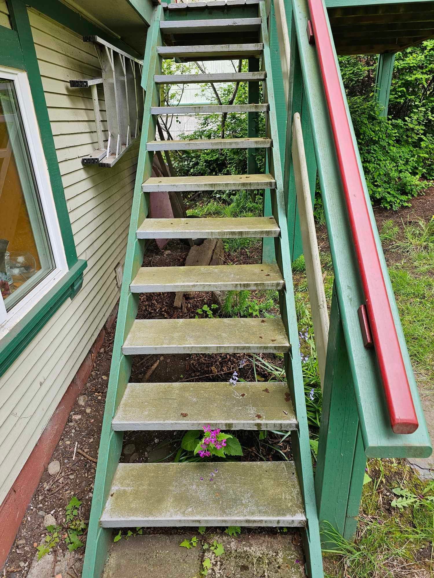 photo of stairs with lots of algae before we pressure washed it