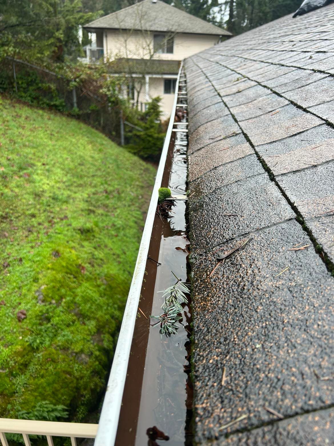 Photo of gutter cleaned and repaired in langford, brown inside