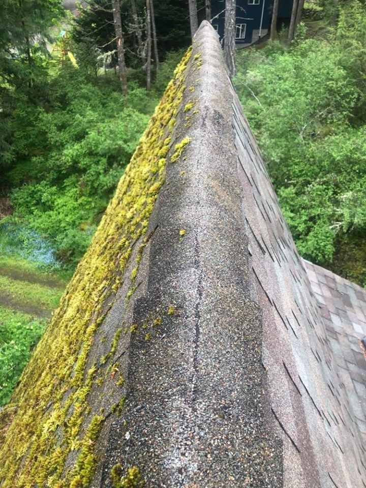 Picture of a steep roof right at the peak. One half has moss on it and one doesn't