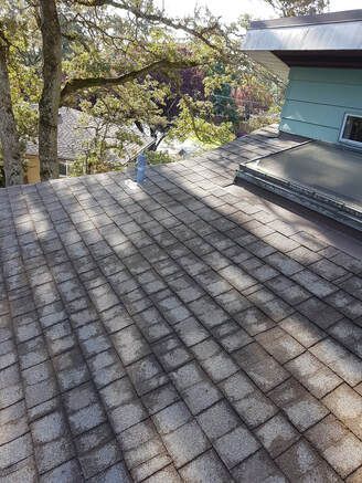 photo of a roof we cleaned and then treated, still partially wet from the solution application