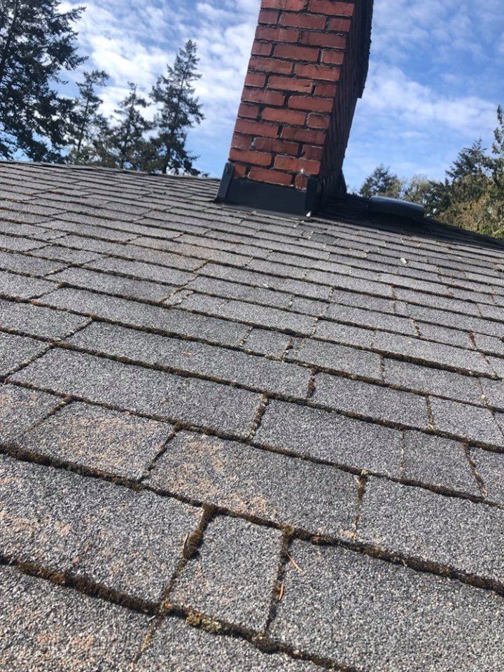Roof with a little bit of moss growing on it, just starting, perfect time to apply solution