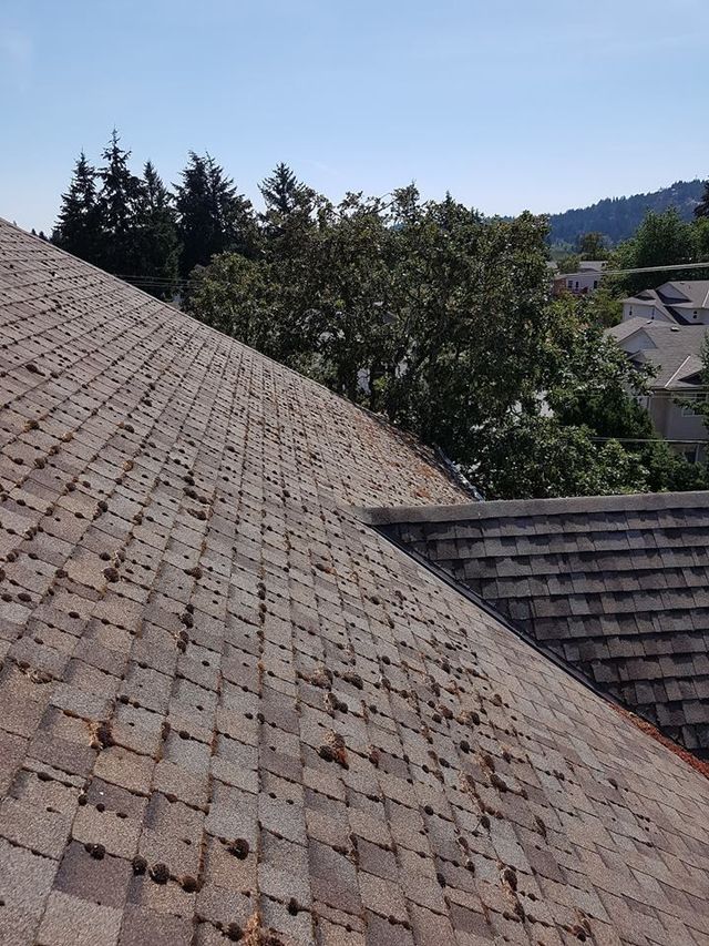 Roof Moss Removal / Soft Washing - Bright Roof Ltd