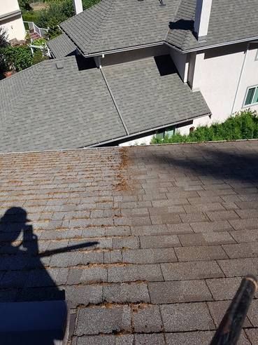A photo taken from a roof worker half way done his moss removal job, the photo shows half the roof demossed