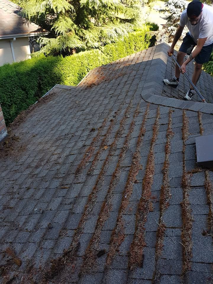 Us working on a roof. Some of the moss is partially removed and blown near the gutter, while the rest still needs work
