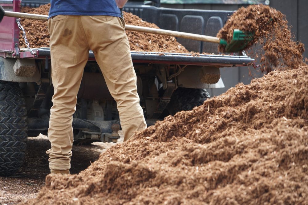 Man Shovels Mulch From Truck Bed — B&T Earthworks & Civil in Yorkeys Knob, QLD