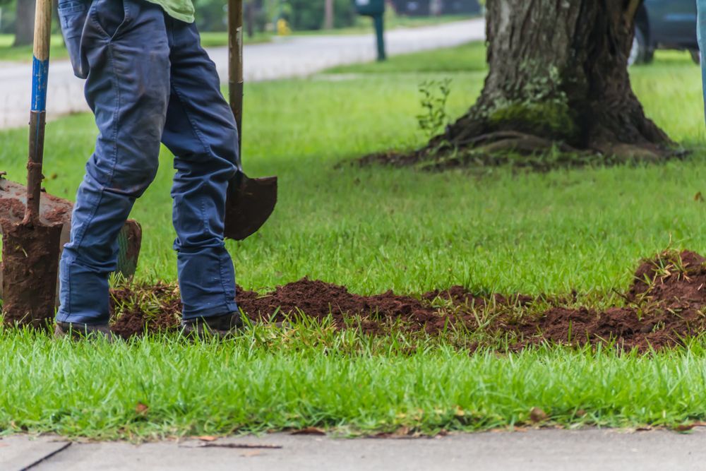 Person Digging a Trench in a Grassy Yard With Shovels, Near a Tree — B&T Earthworks & Civil in Smithfield, QLD