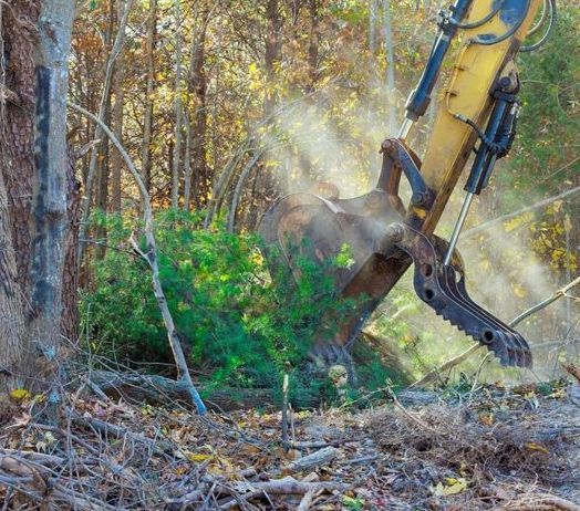 An Excavator Clearing Brush in a Wooded Area, Creating a Cloud of Dust — B&T Earthworks & Civil in Yorkeys Knob, QLD