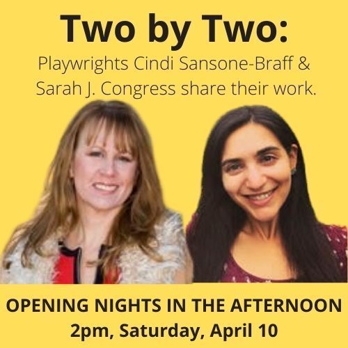 Two by Two: Playwrights Cindi Sansone-Braff & Sarah J Congress share their work