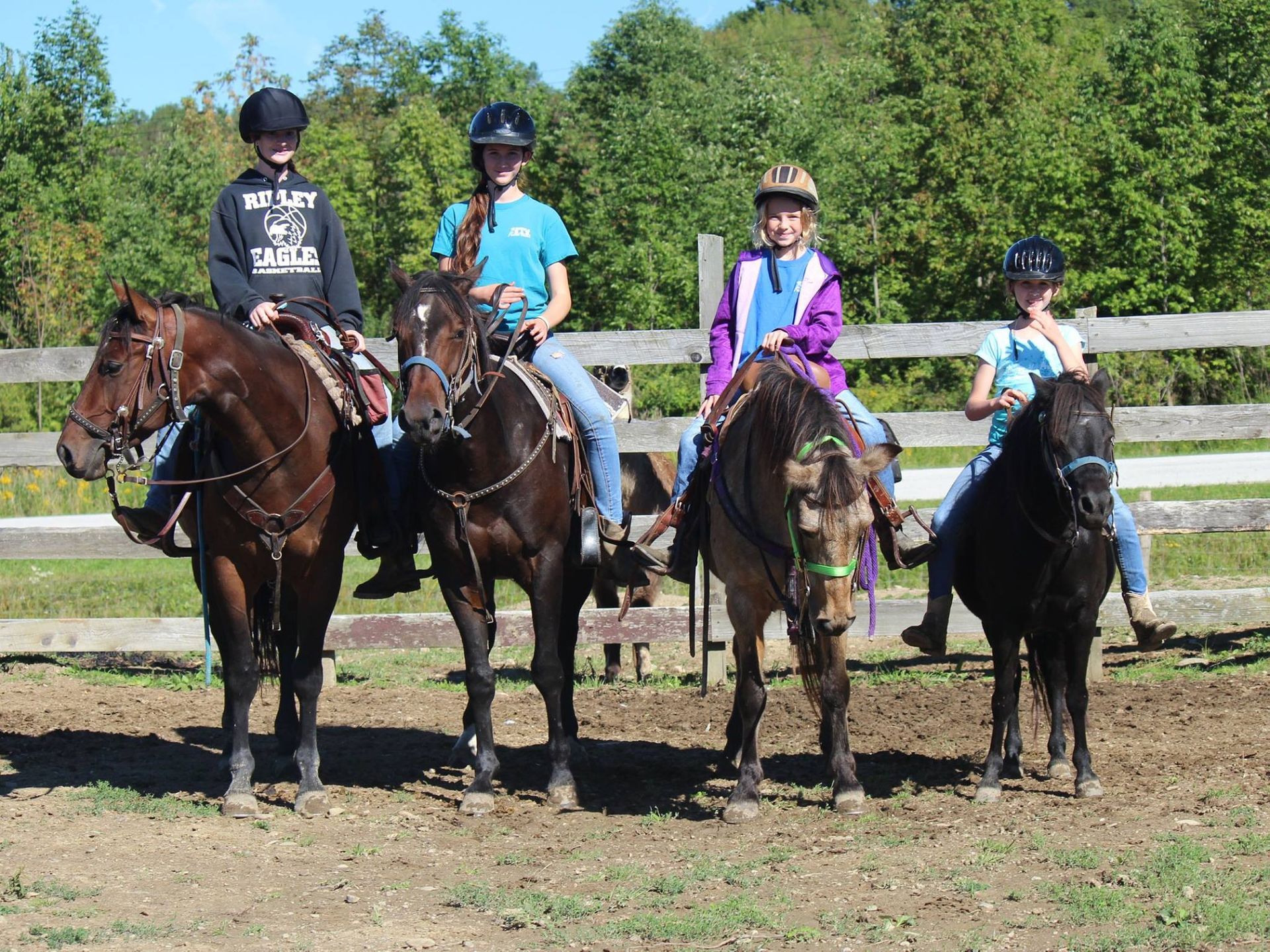 A group of children are riding horses in a field