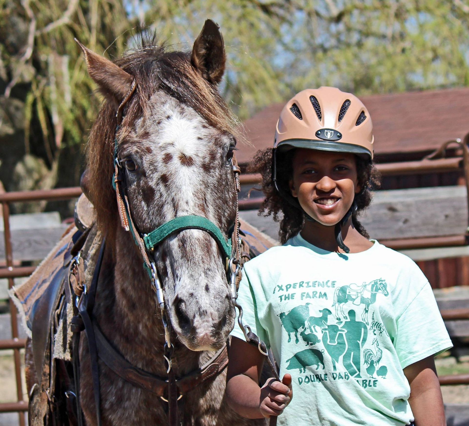 A girl wearing a helmet is standing next to a horse