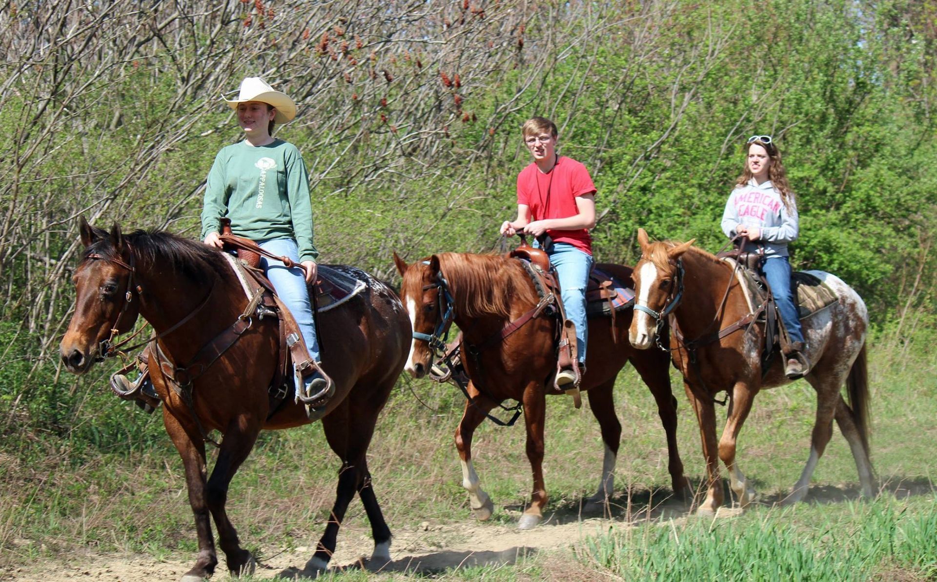 A group of people are riding horses in a field.