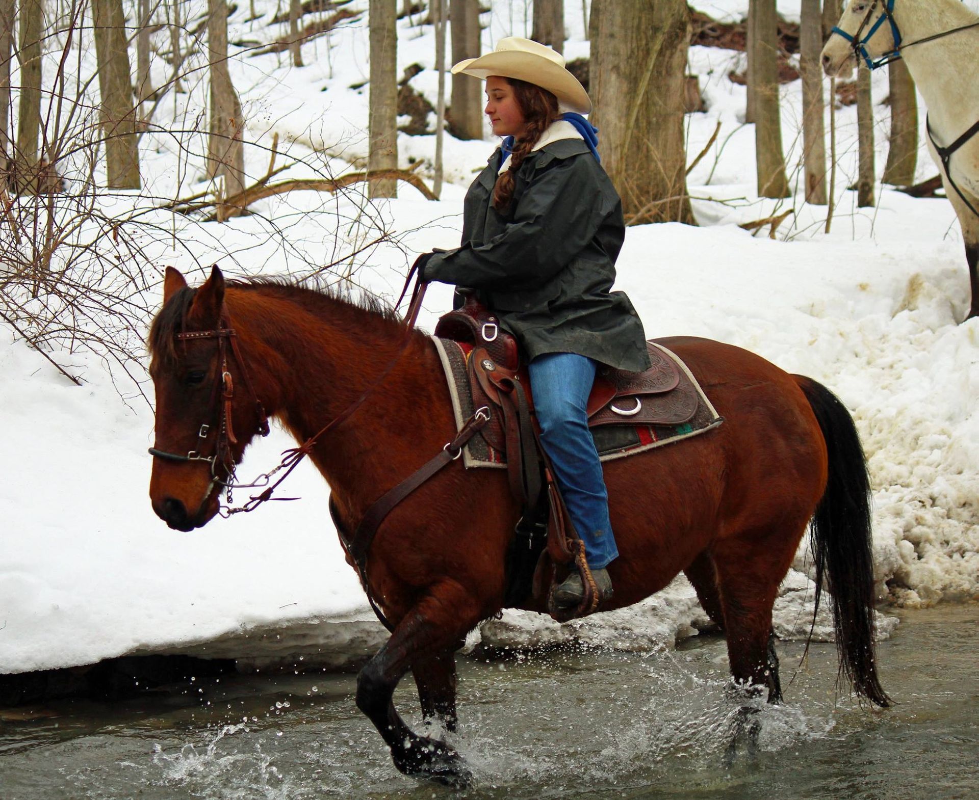 A woman in a cowboy hat is riding a brown horse through a stream