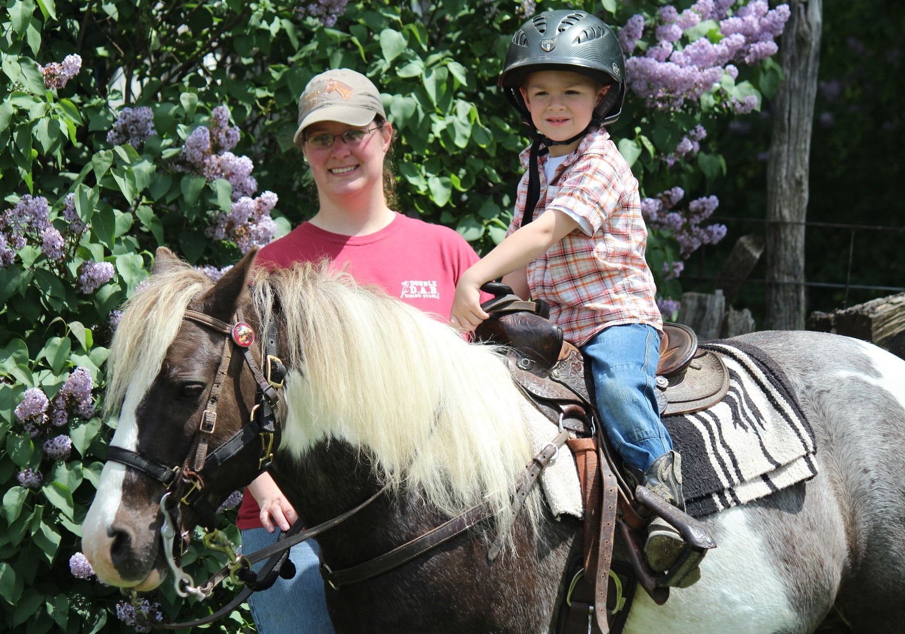 A little girl wearing a purple helmet is riding a white horse.