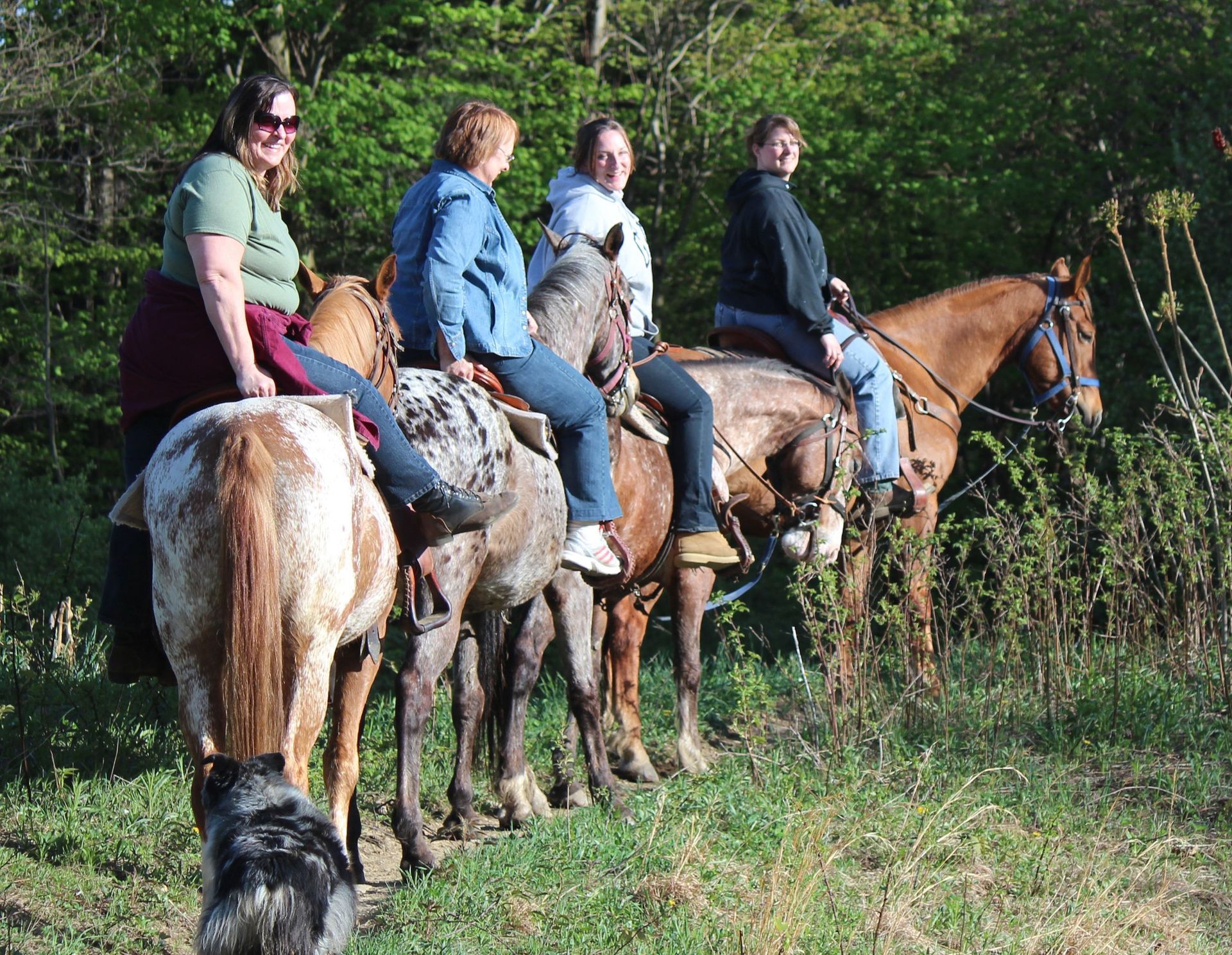 A group of people are riding horses in a field.