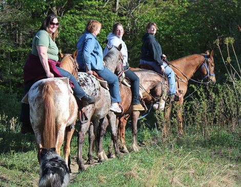 A group of people are riding horses in a field.