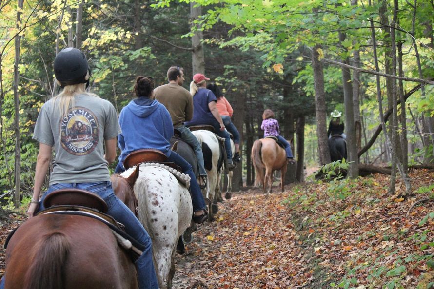 A man and a woman are riding horses in a field