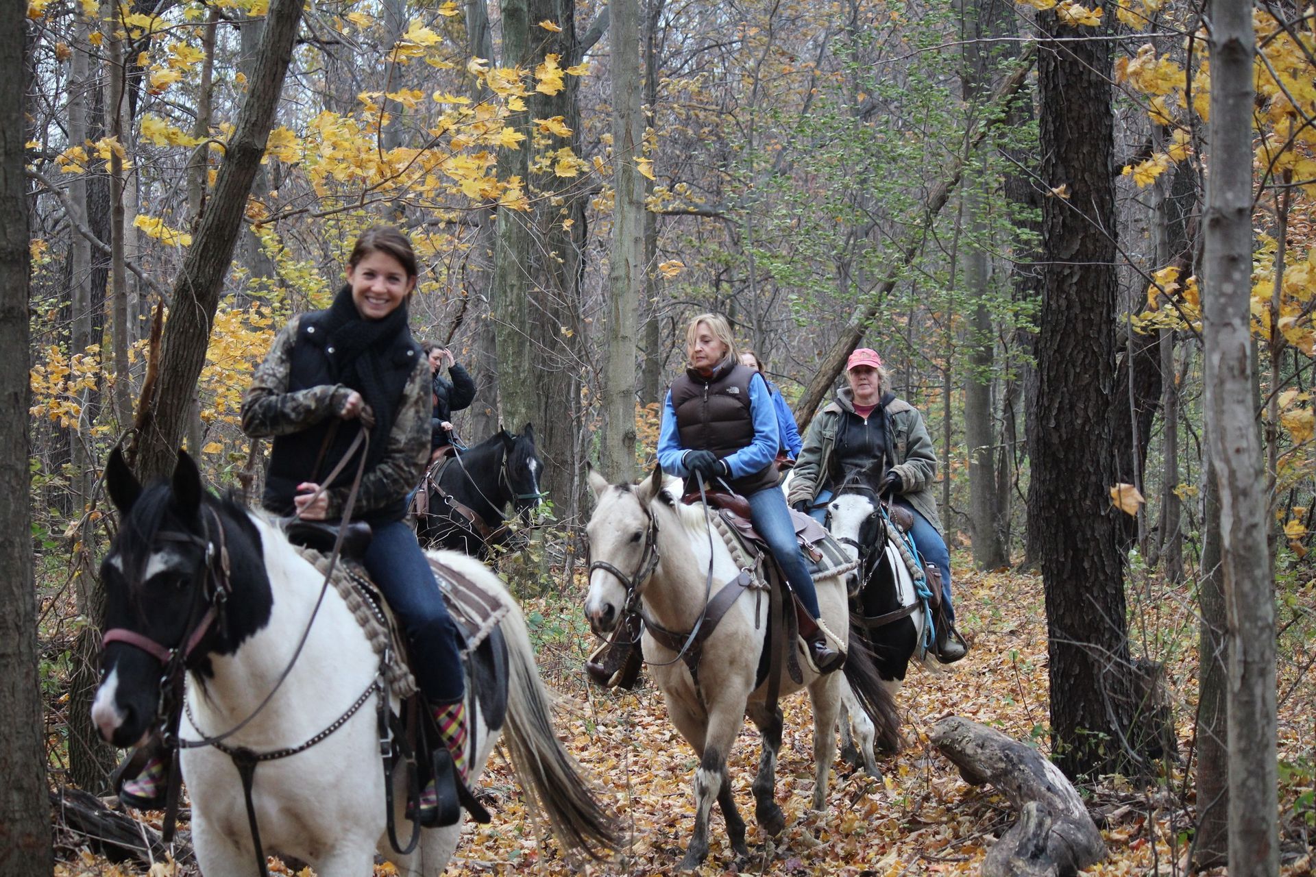 A group of people are riding horses through a forest.