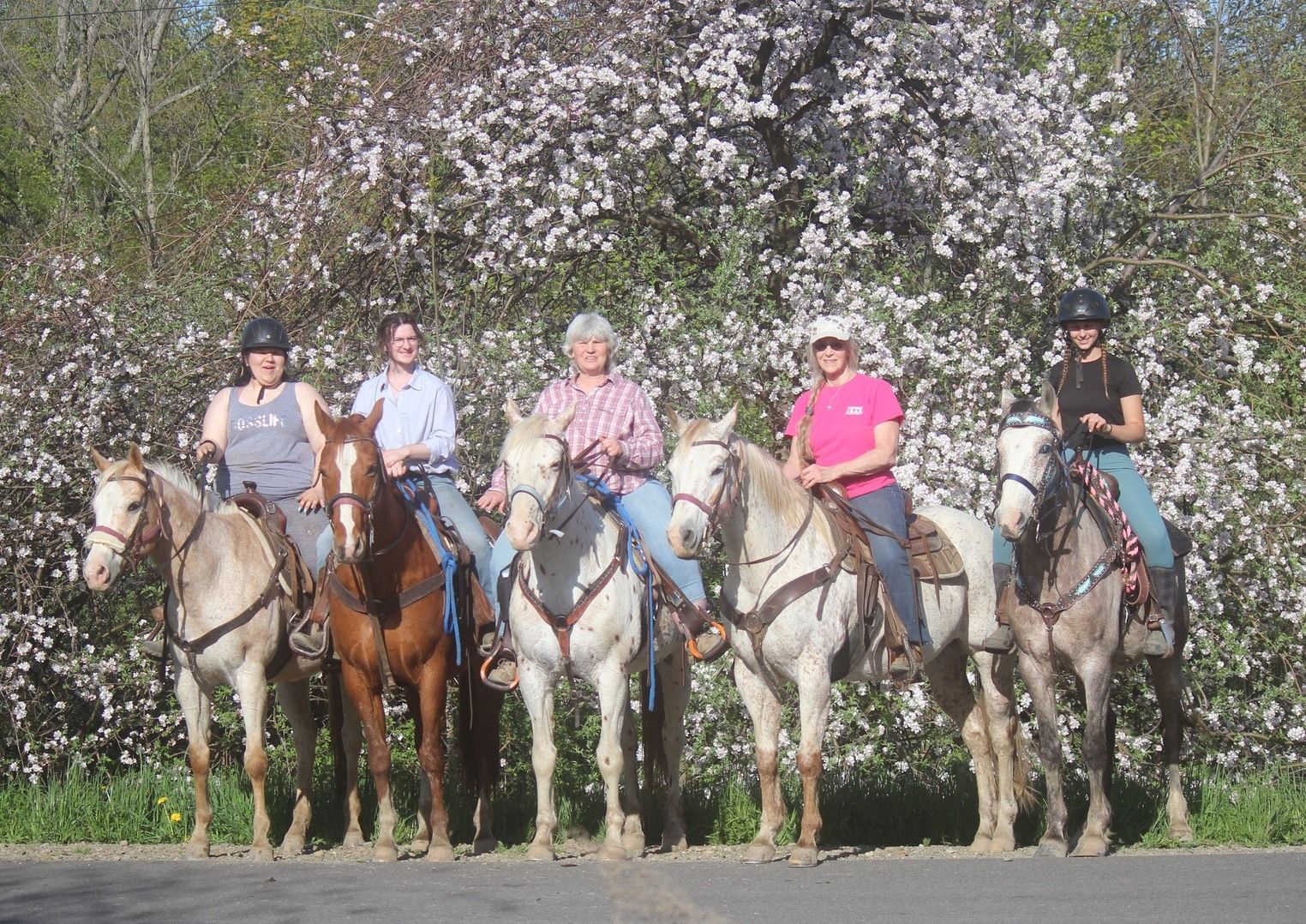 A group of people riding horses in front of a tree with white flowers