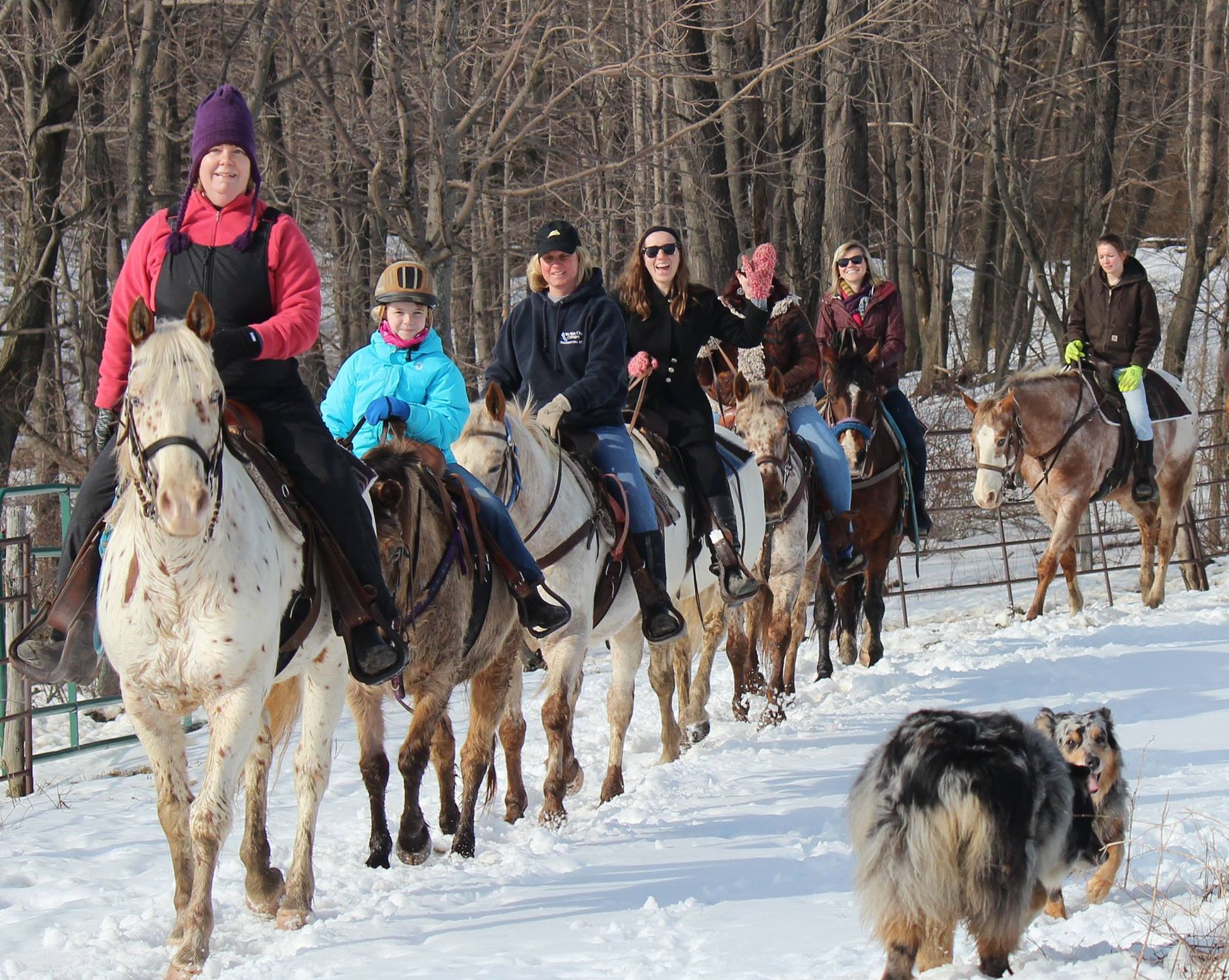 A group of people are riding horses in the snow.