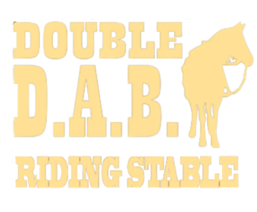 A yellow logo for double d.a.b. riding stable