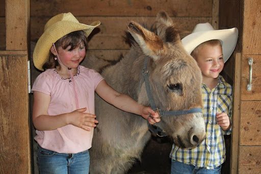 A group of children petting a donkey in a barn.