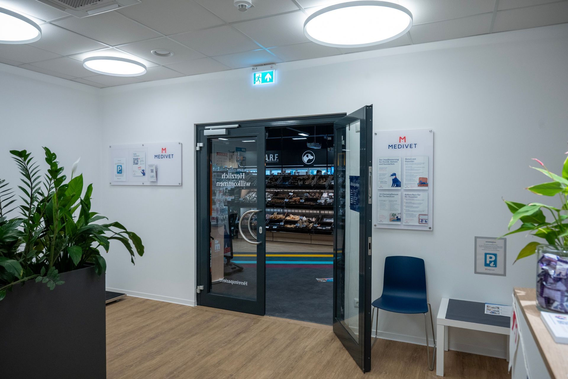 Eingang zu einem Laden mit offenen Glastüren, der Innenraum ist einsehbar. Rechts stehen Pflanzen und ein blauer Stuhl.