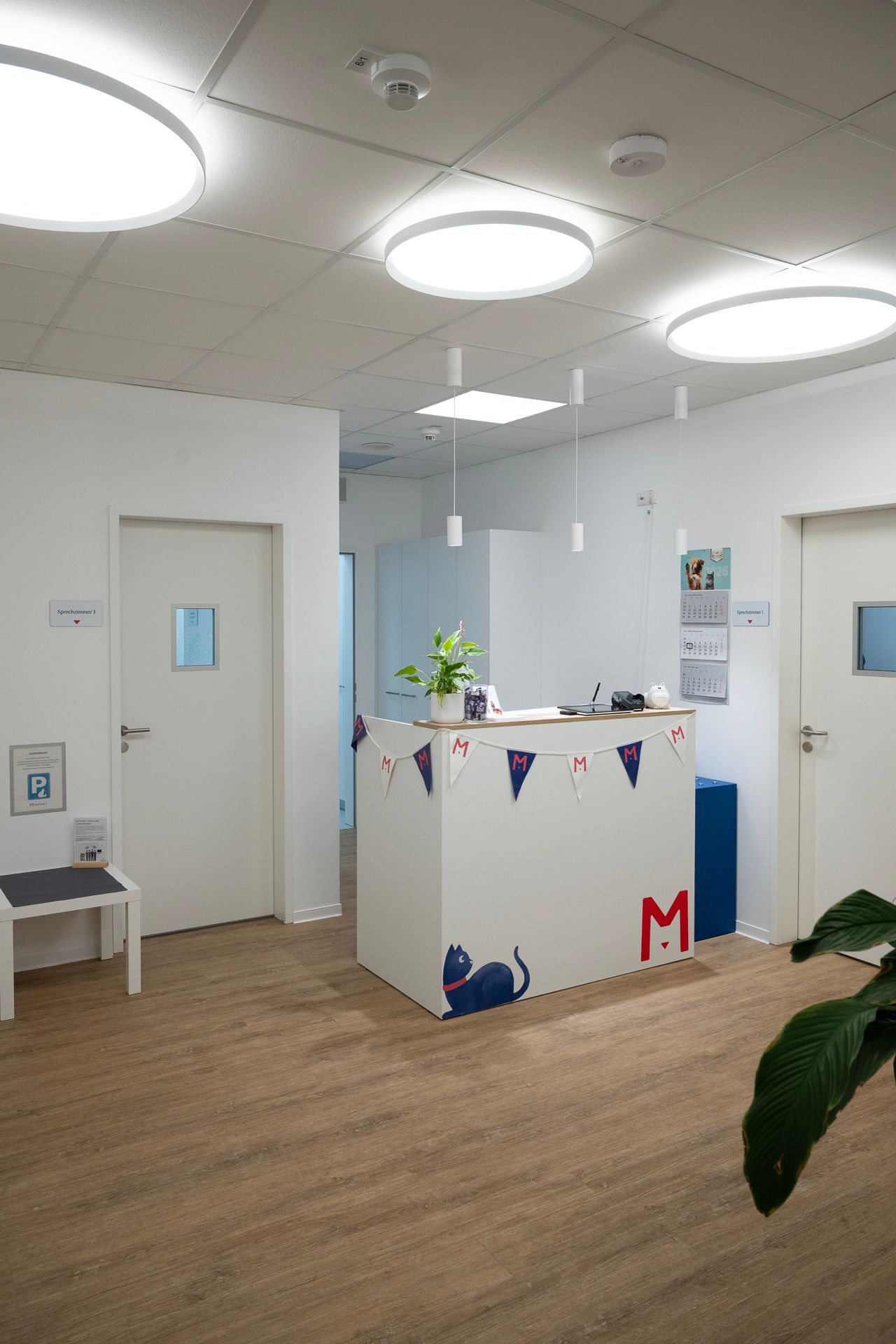 Hell erleuchteter Empfangsbereich einer Arztpraxis mit weißem Schreibtisch und Blick in einen Flur.