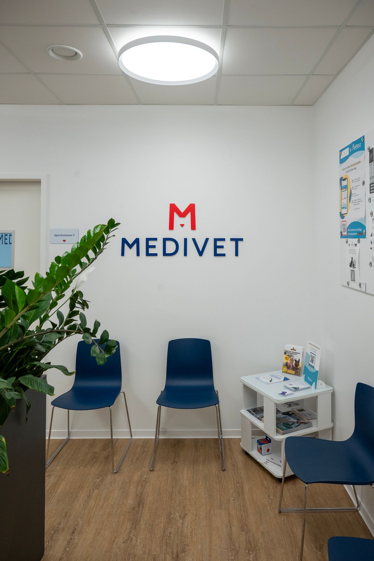Wartezimmer mit blauen Stühlen, dem Logo „MEDIVET“ an der weißen Wand und einer kleinen Pflanze.