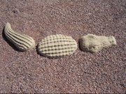 3 Part Alligator - alligator stepping stones in Tucson, AZ