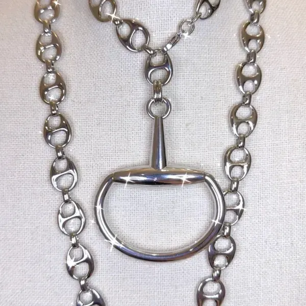 Silver necklace with a large oval pendant on a light background