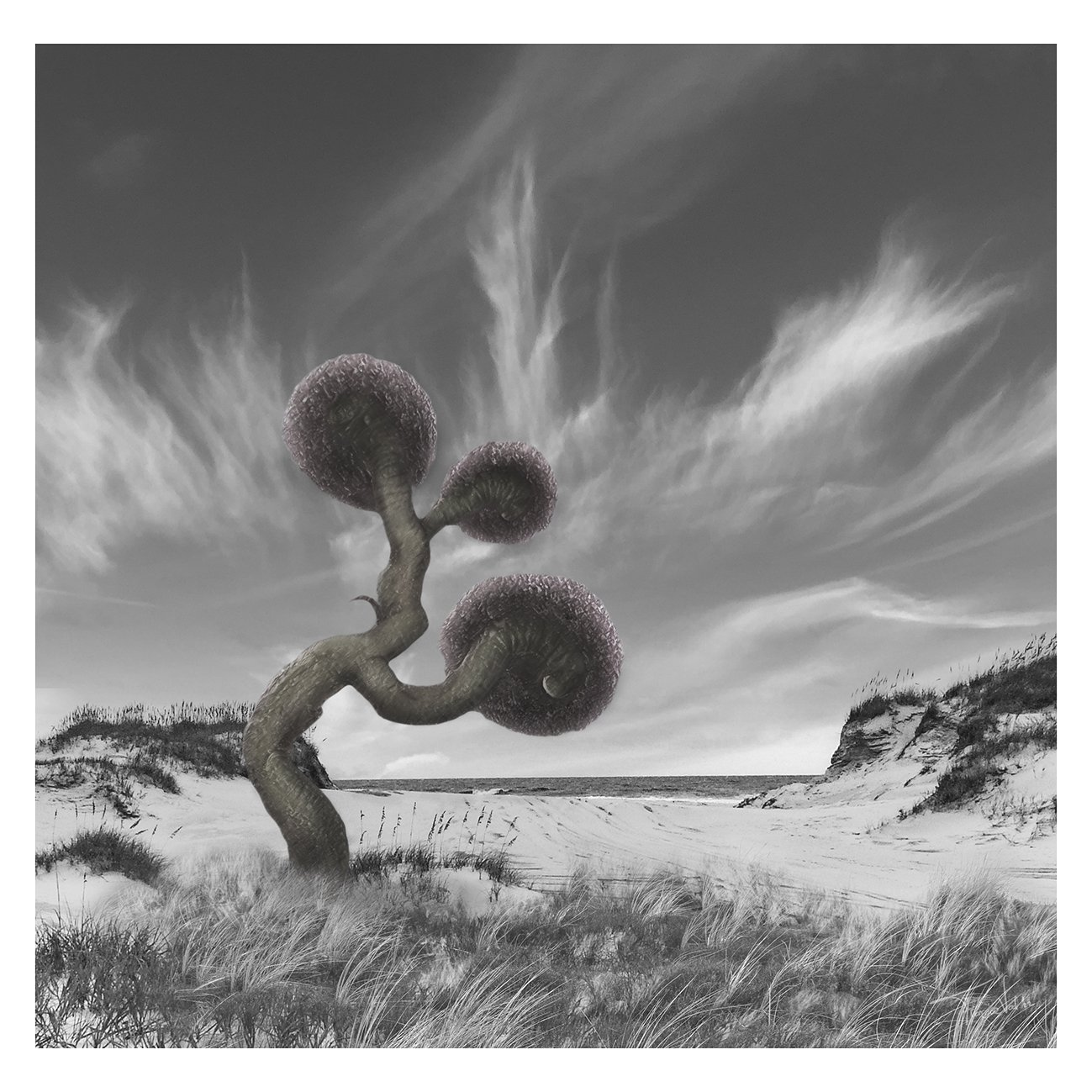 Mysterious beach life - fantasy digital art