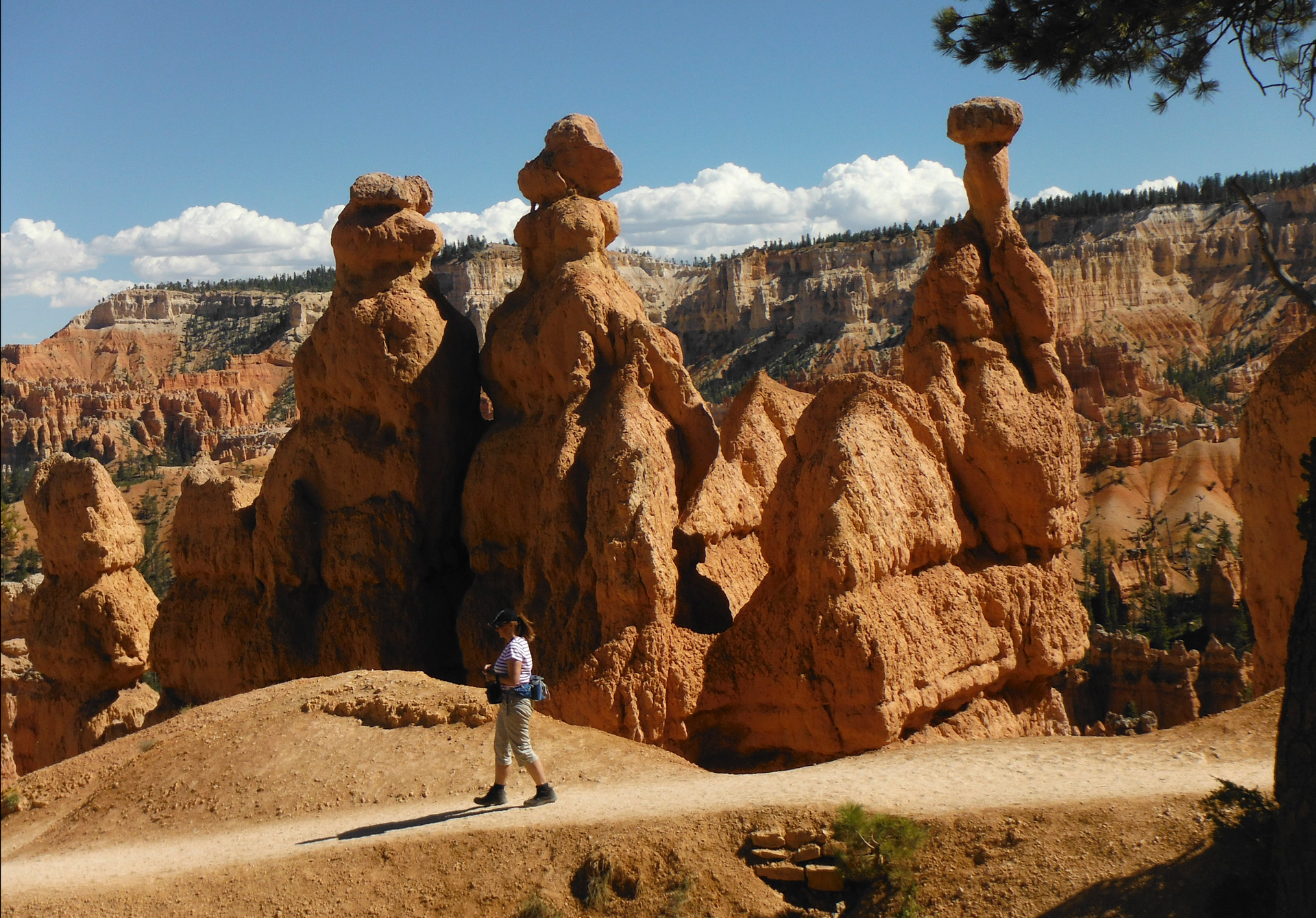 Photo of Françoise Vaal hiking in Bryce National Park, Utah