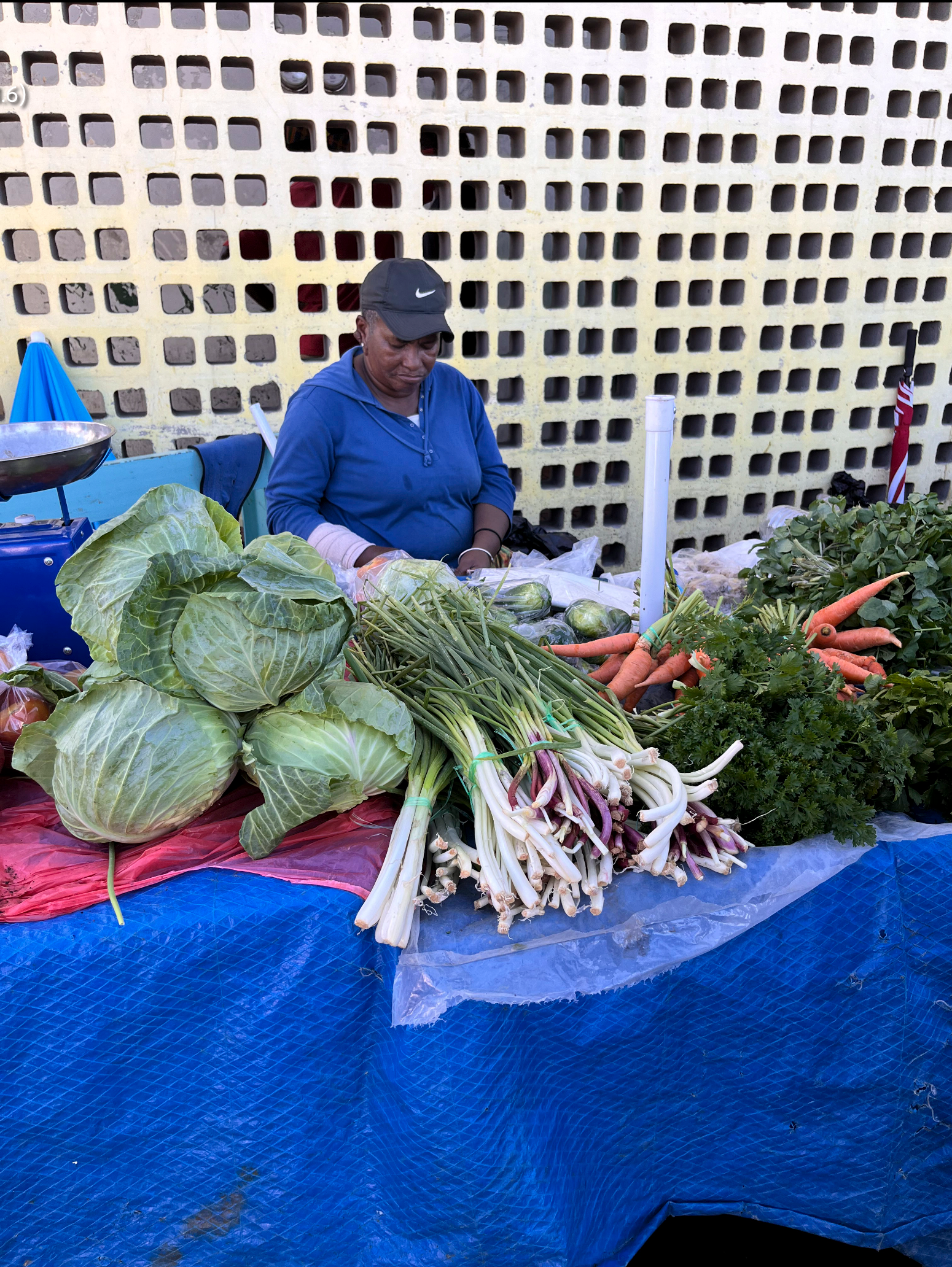 Woman selling vegetables on a market on Dominica, photo made by Françoise Vaal