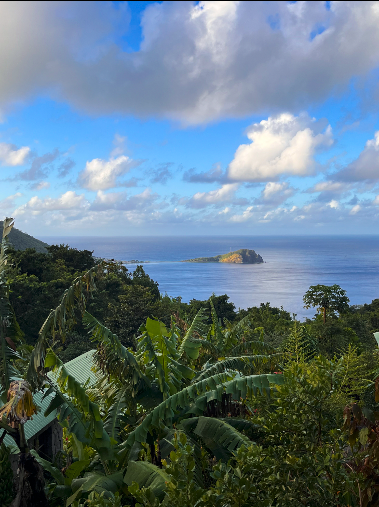 View from Jungle Bay on Dominica, photo by Françoise Vaal