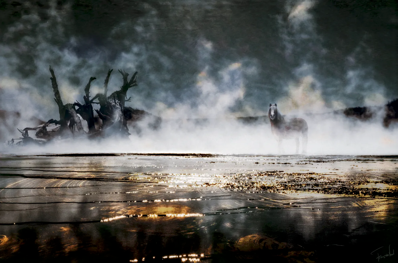 The BRave- artwork b Françise Vaal depicting a horse in  damp environment