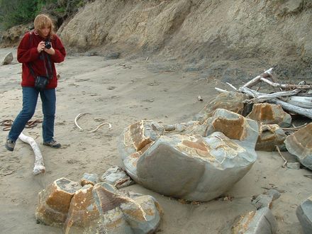 Photo of Françoise Vaal photographing the Moeraki boulders in New Zealand
