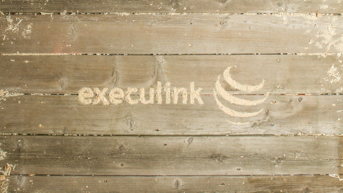 Execulink