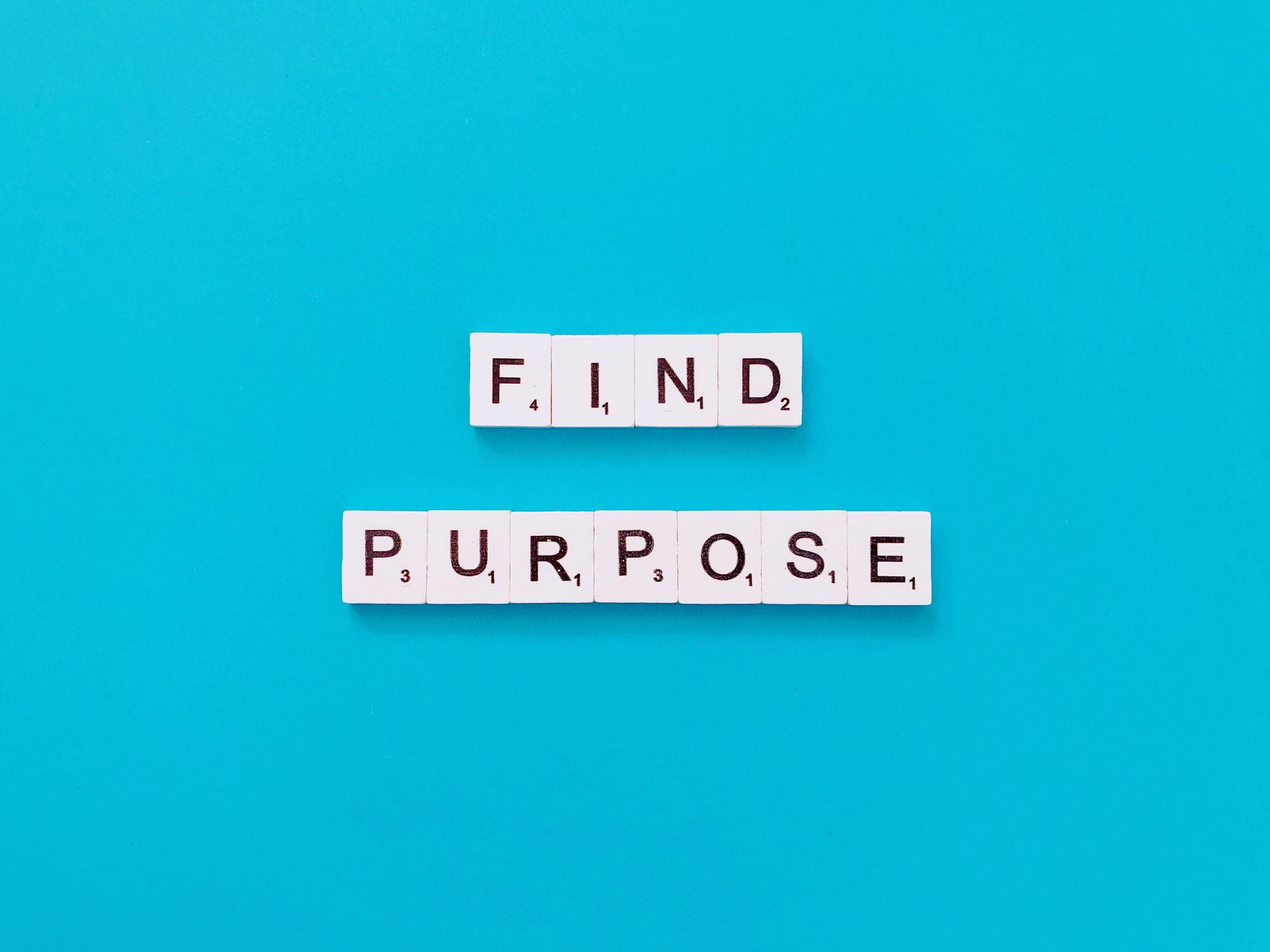 The words find purpose are written in scrabble tiles on a blue background.