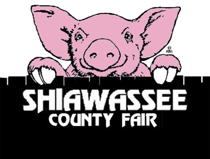 Shiawassee County Fair Logo - pig looking over a fence