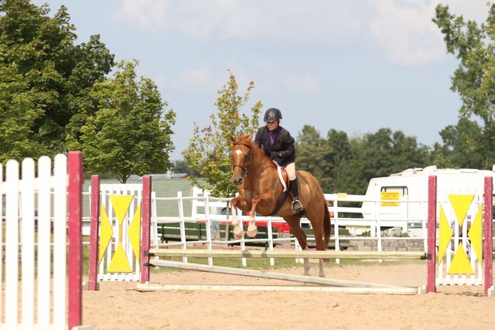 <p class="rteBlock">Tennessee Walker Horse Show</p>