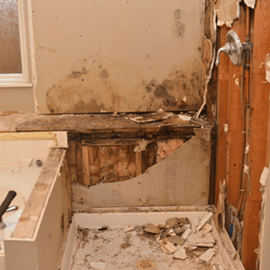 A bathroom with a bathtub and a shower being remodeled.