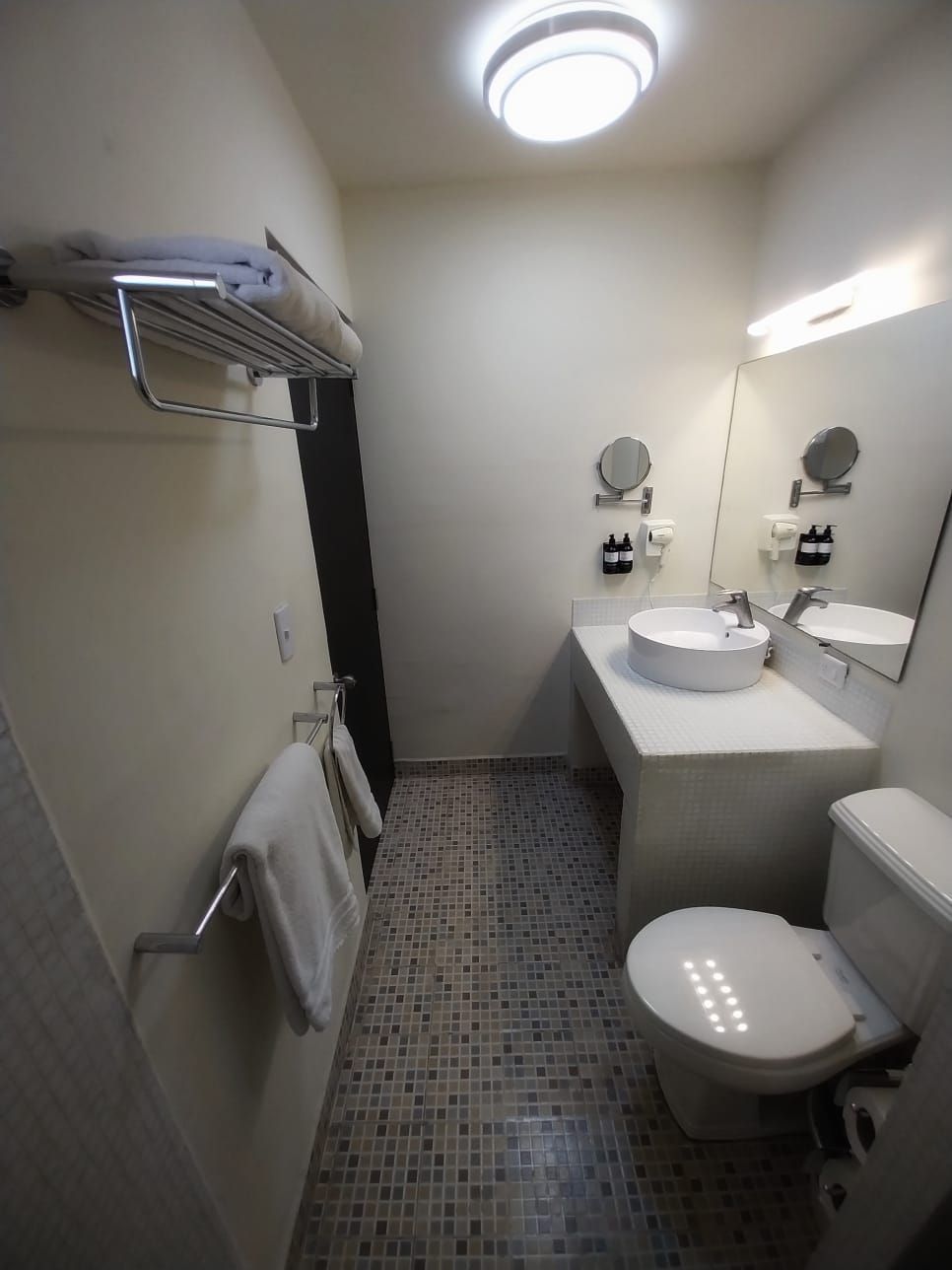 A bathroom with a toilet a sink and a mirror