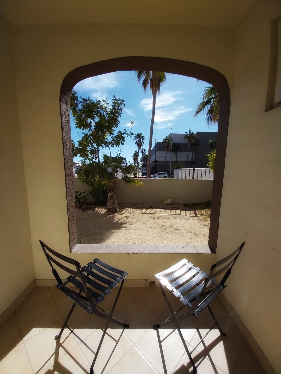 Two chairs sit in front of a window with a view of a palm tree