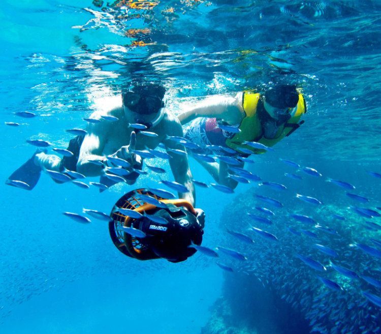 Two people are swimming in the ocean surrounded by fish