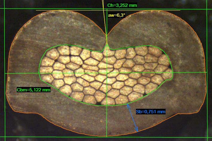 caratteristiche tecniche di un cavo