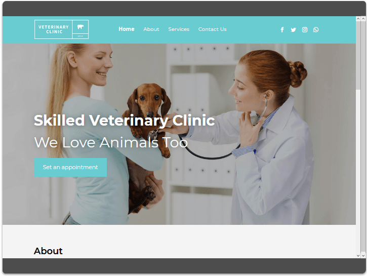 Website for a Veterinarian