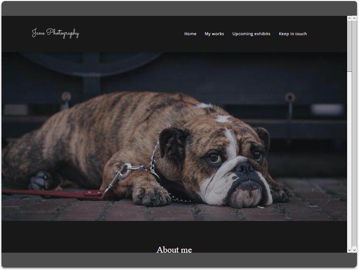 Website for a Photographer's Portfolio