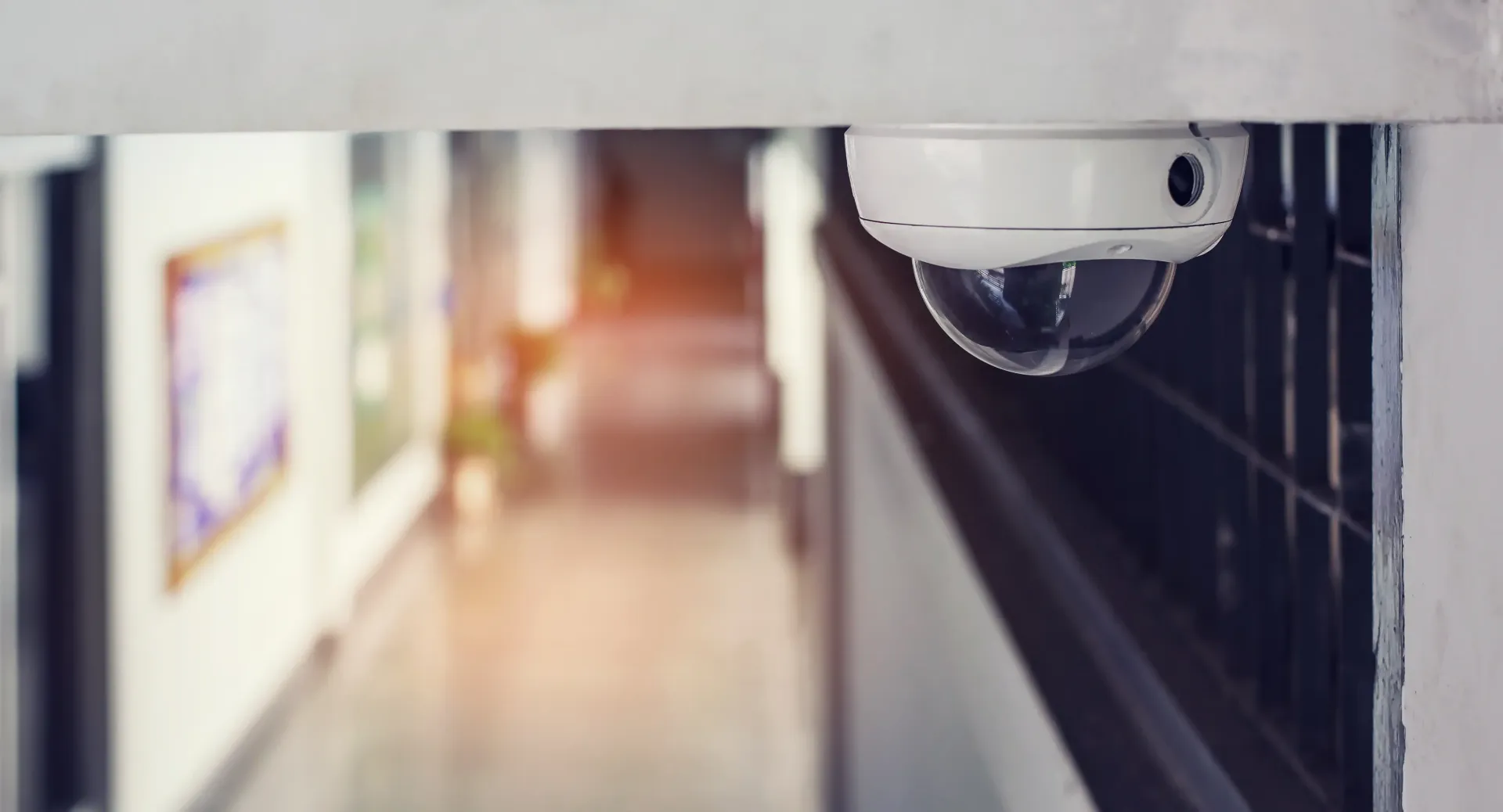 Cámaras de videovigilancia
